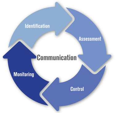 Risk Management Procedure en