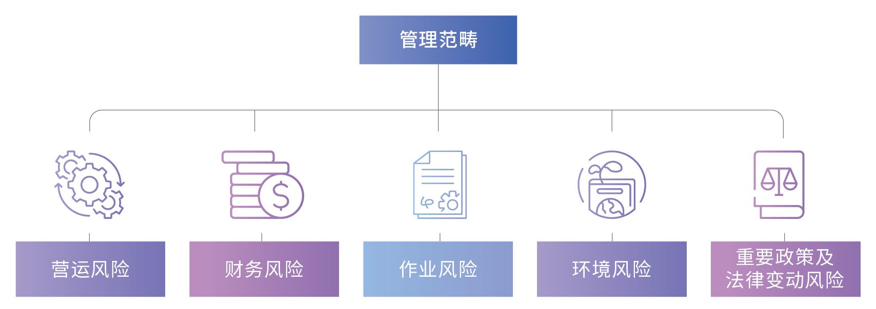 Risk Management Category